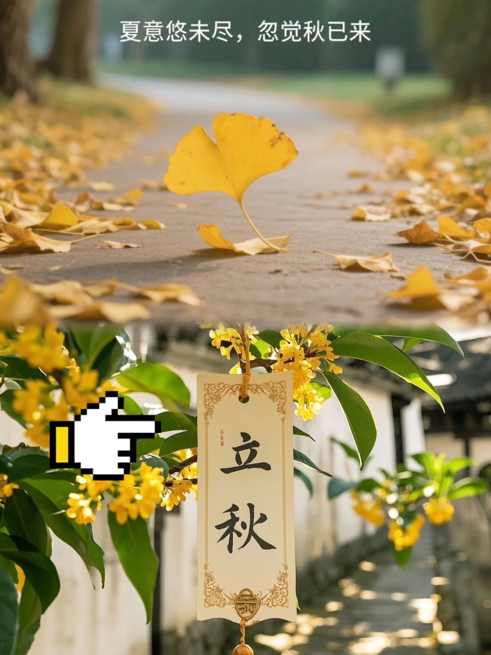 娱乐生活 第116页