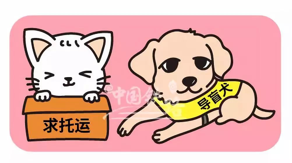 最新资讯 第97页