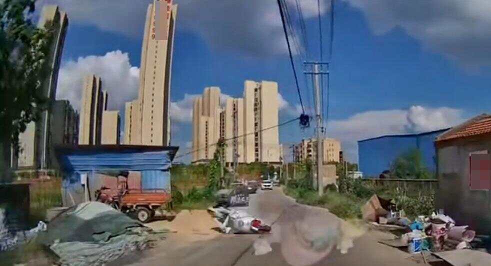 娱乐生活 第102页
