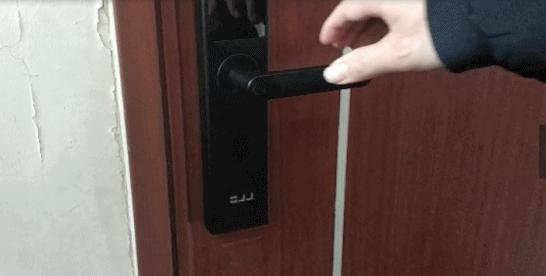 港澳新闻 第75页