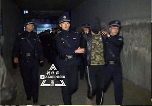 最新资讯 第46页