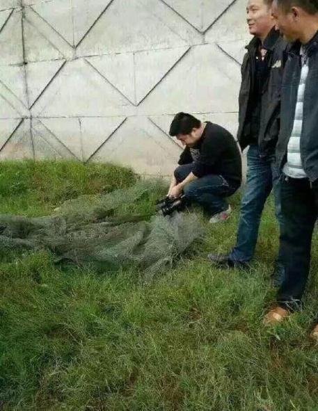 娱乐生活 第66页